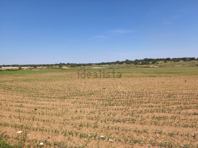 Terreno en venta en Calzadilla, Extremadura