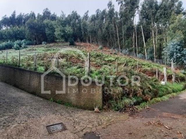 Terreno venda em Achada da Camacha, Santa Cruz