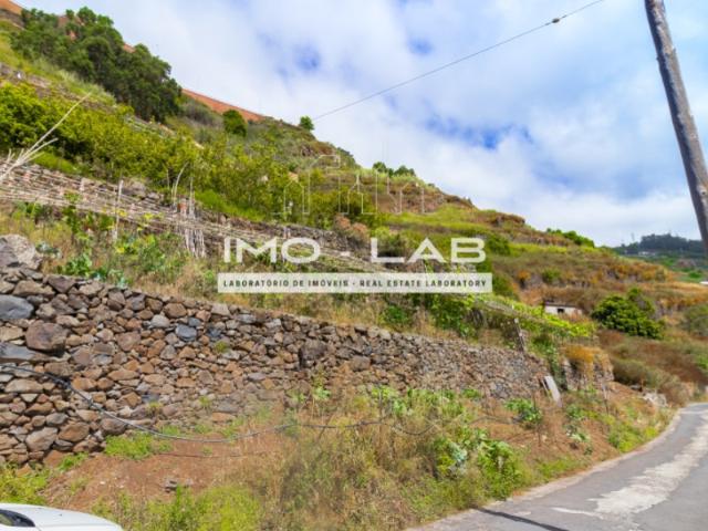 Terreno venda em Câmara De Lobos, Rancho