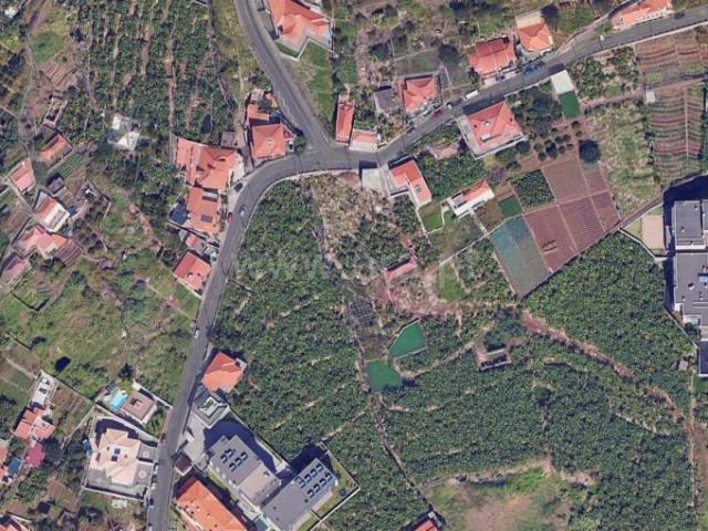 Terreno venda em Câmara De Lobos, Nogueira