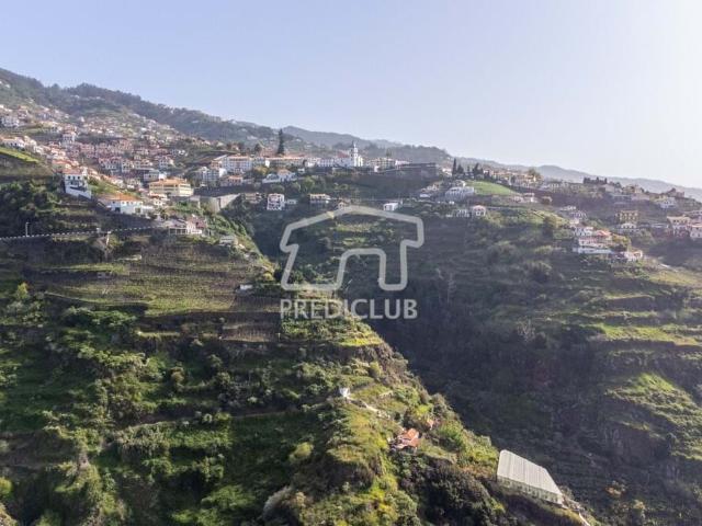 Terreno venda em Câmara De Lobos, Nogueira