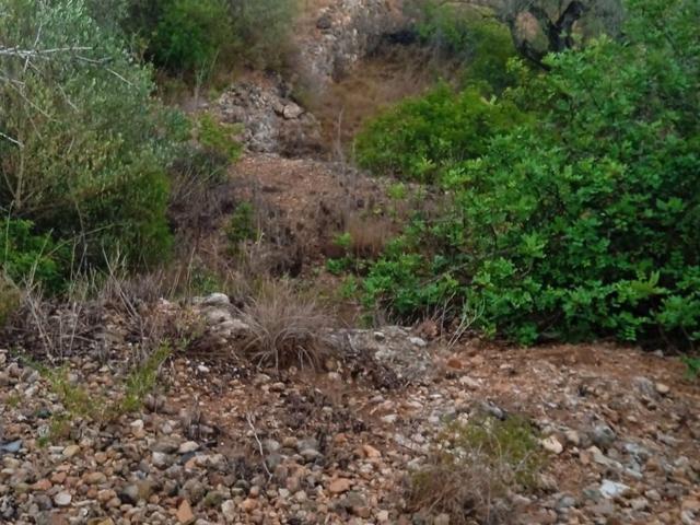Terreno en venta en Baix Ebre, Catalunya