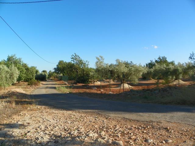 Terreno en venta en Baix Ebre, Catalunya