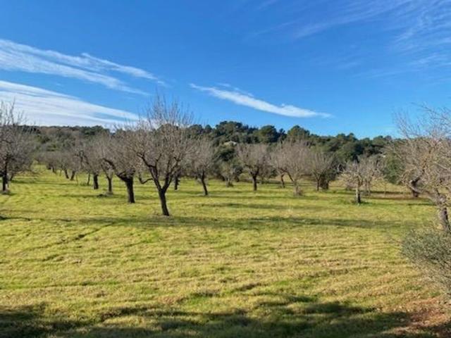 Terreno en venta en Raiguer, Baleares
