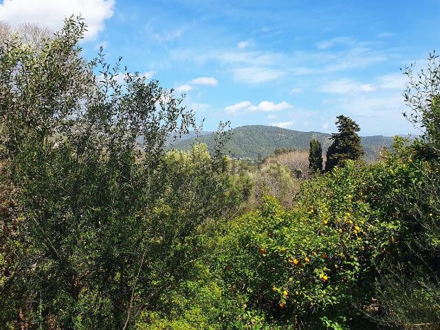 Terreno en venta en Campanet, Illes Balears