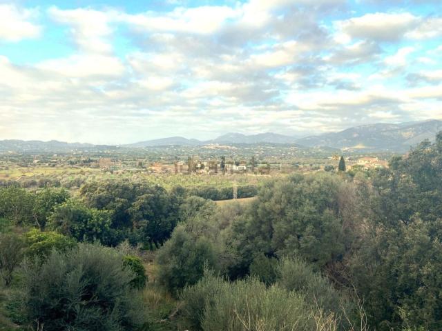 Terreno en venta en Raiguer, Baleares