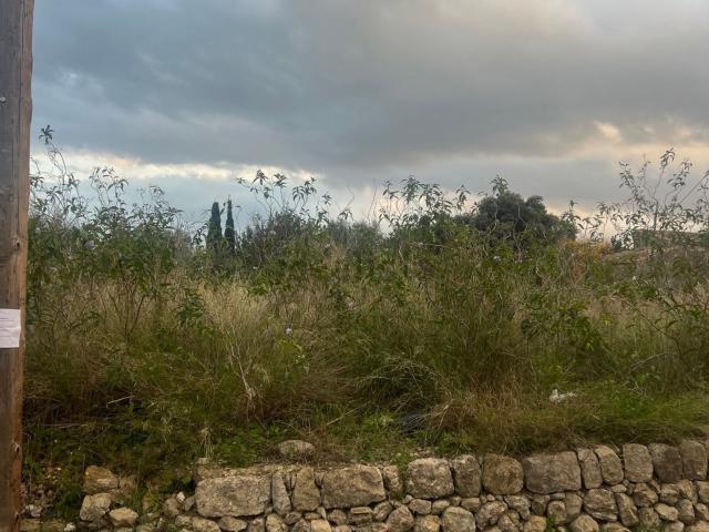 Terreno en venta en Raiguer, Baleares