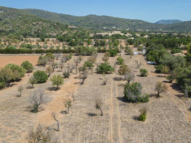 Terreno en venta en Raiguer, Baleares