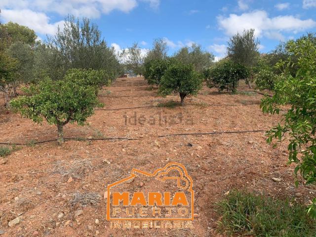 Terreno en venta en Campanillas, Málaga