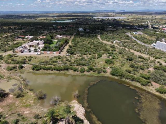 Terreno en venta en Saucillo De Primavera, Región Altos Norte
