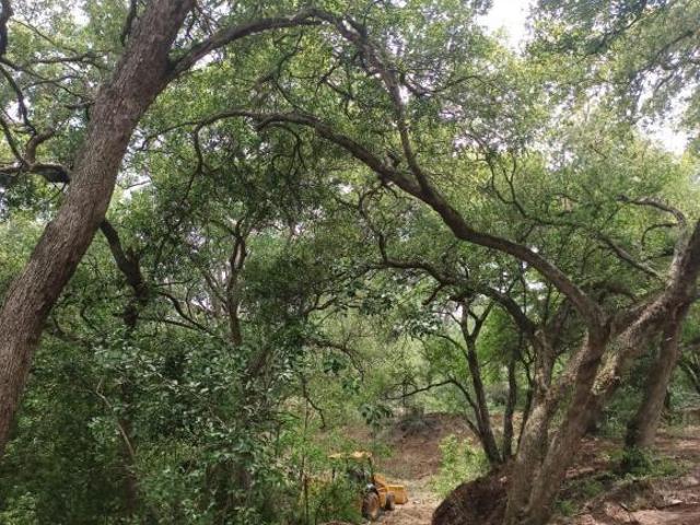 TERRENO CAMPESTRE EN VENTA EN MONTEMORELOS, N.L