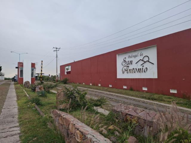 Terreno en venta en Saucillo De Primavera, Región Altos Norte