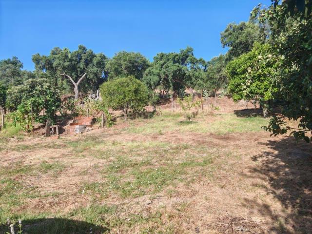 Terreno venda em Guarda, Aldeia Do Bispo
