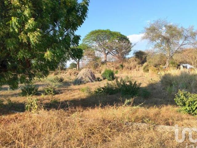 Terreno en venta en Comala, Colima