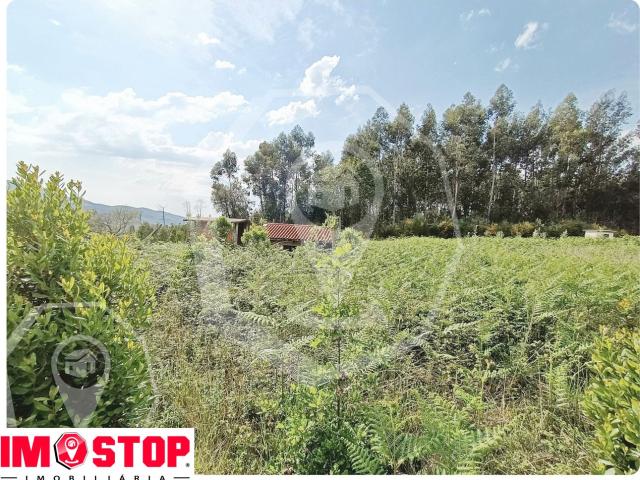 Terreno venda em Campia, Viseu