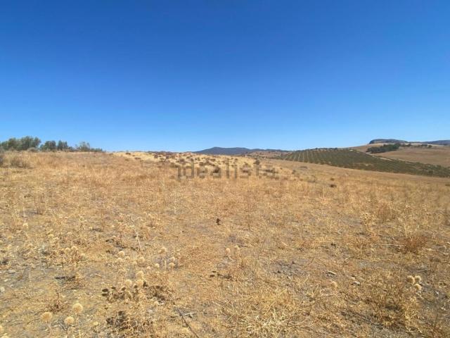 Terreno en venta en Guadalteba, Andalucía
