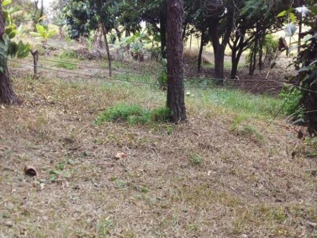 Terreno venda em Parque das Avencas, Pirapora do Bom Jesus