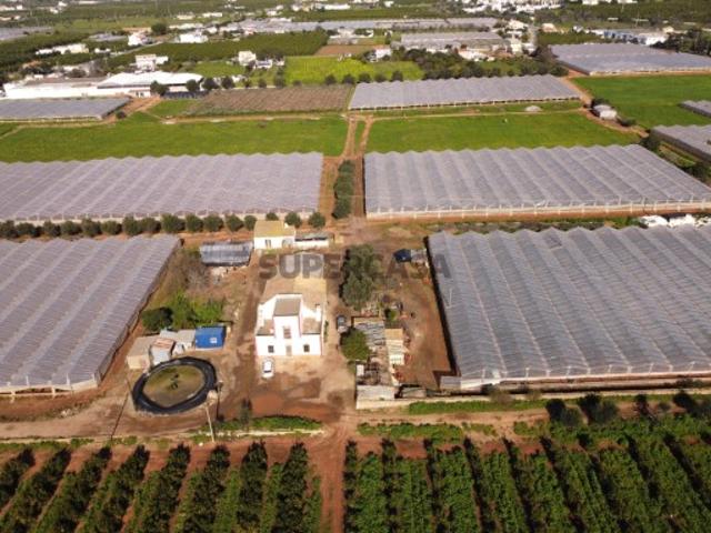 Terreno venda em Conceição e Estoi, Faro