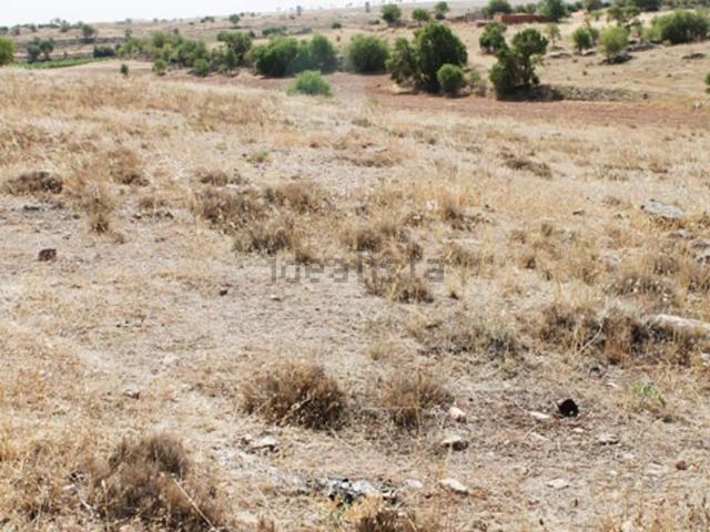 Terreno en venta en Campo De Criptana, Castilla-La Mancha