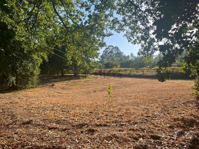 Terreno en venta en O Campo Lameiro, Pontevedra