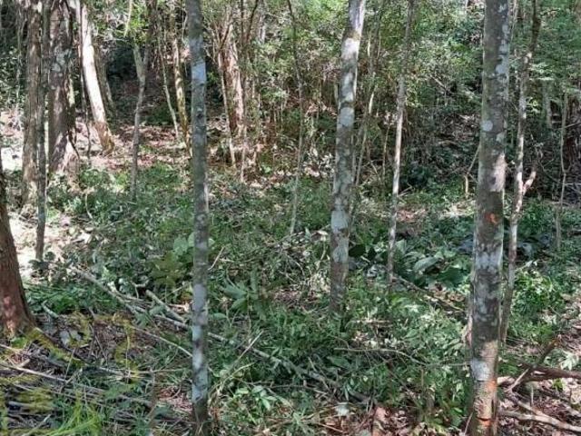 Terreno venda em Região Imediata de Jundiaí, Jarinu