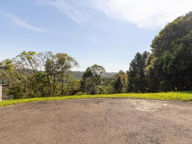 Terreno venda em Campo Novo, Campo Magro