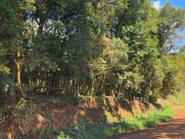 Terreno venda em Região Geográfica Imediata de Curitiba, Região Metropolitana de Curitiba