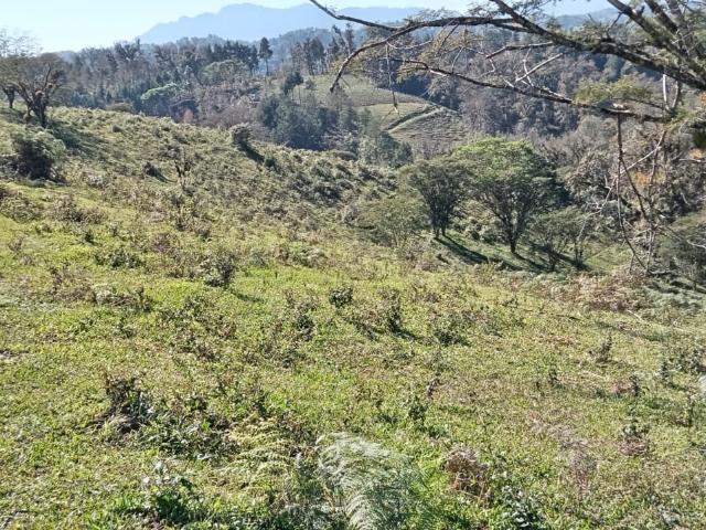 Terreno en venta en Xico, Veracruz