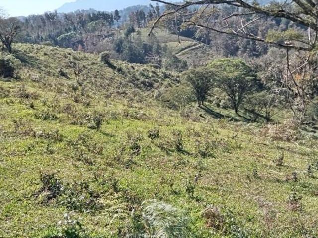 Quinta en venta en Xico, Veracruz