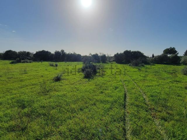 Terreno en venta en Pla de Mallorca, Baleares