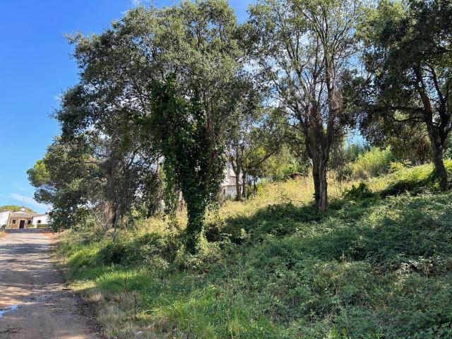 Terreno en venta en Castell d'Aro, Platja d'Aro i s'Agaró, Baix Empordà