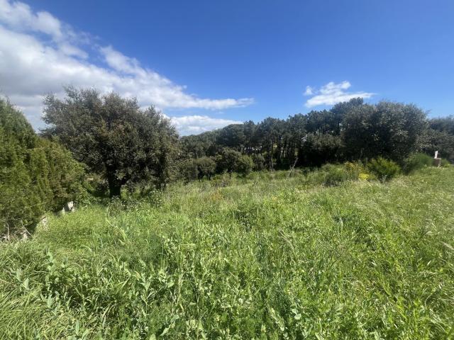 Terreno en venta en Castell d'Aro, Platja d'Aro i s'Agaró, Baix Empordà