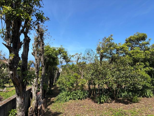 Prédio venda em Açores, Ribeira Grande