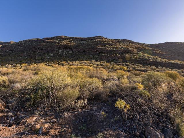 Terreno en venta en Araya, Candelaria