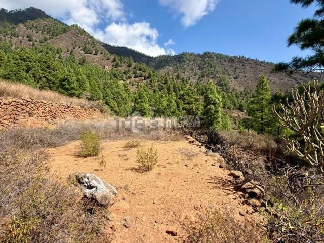 Terreno en venta en Aroba, Candelaria