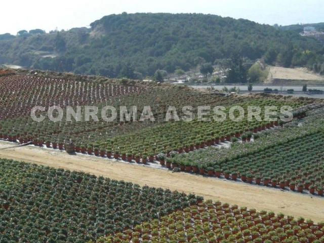 Terreno en venta en el Farell, Maresme