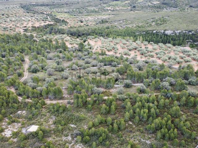 Terreno en venta en el Baix Maestrat, Valencia