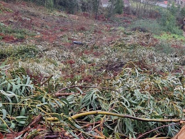 Terreno en venta en Darbo, O Morrazo