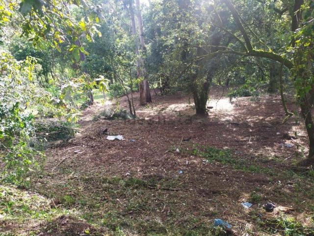 Terreno en venta en Darbo, O Morrazo