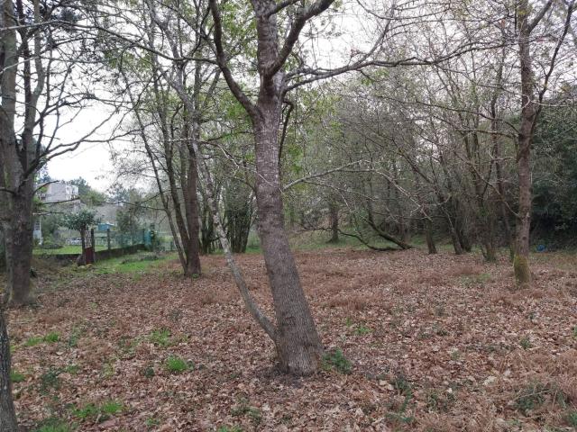 Terreno en venta en O Hío, O Morrazo