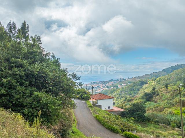 Terreno venda em Cruz de São Sebastião, Santa Cruz