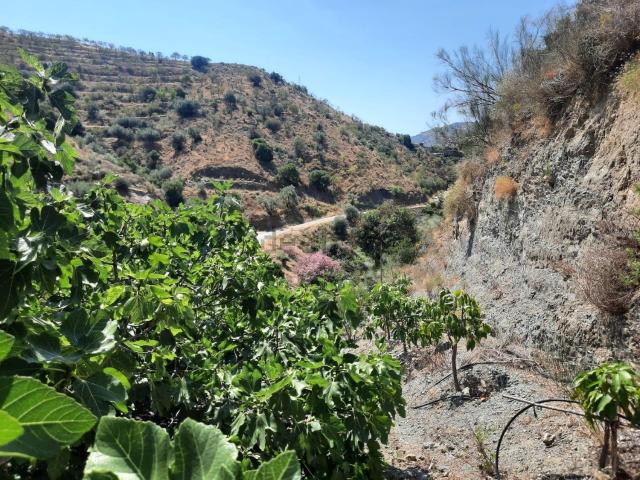 Terreno en venta en La Axarquía, Andalucía