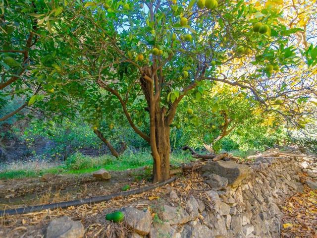 Terreno en venta en La Axarquía, Andalucía