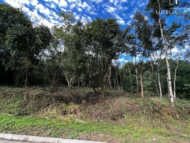 Terreno venda em Vale Real, Região Geográfica Intermediária de Caxias do Sul