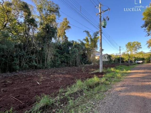 Terreno venda em Região Geográfica Imediata de Caxias do Sul, Feliz