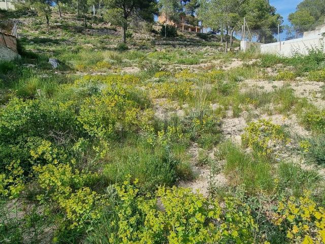 Terreno en venta en Garraf, Catalunya