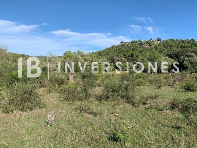 Terreno en venta en Llevant, Baleares
