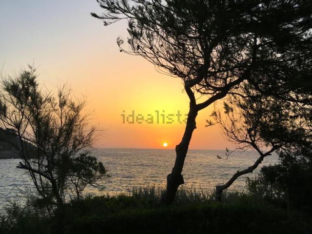 Terreno en venta en sa Font de sa Cala, Llevant
