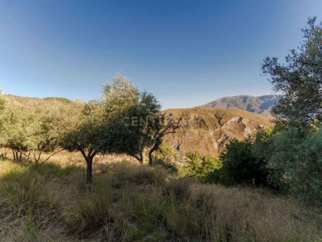 Terreno en venta en Comarca de la Alpujarra Granadina, Andalucía