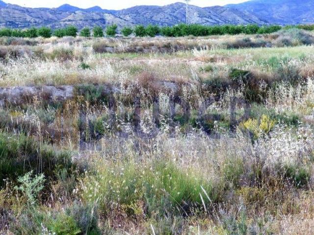 Terreno en venta en el Pla del Bon Repòs, l'Alacantí